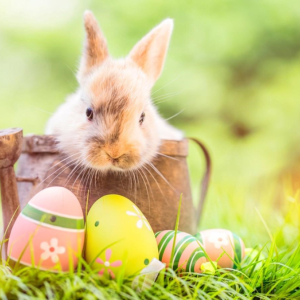 Velikonoční prázdniny